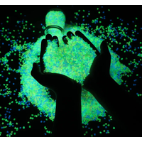 AliExpress NONE 5000pcs Luminous 3-5mm Sand for Garden Decoration Gravel Glow in Dark Yard Outdoor Lawn Decor Pretty for Christmas
