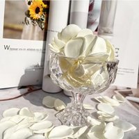 300pcs Ivory Silk Rose Petals Flower Petals for Weddings Proposal Flower Girl Basket Aisle Runner Bridal Shower,Mother's Day,Lab