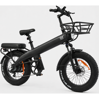 HX Q3 elektrische bakfiets voor volwassenen, 250W, 25 km/u, 48V, 20Ah, 960Wh, uitneembare accu, 20×4.0 dikke banden, 115Nm hoog koppel, hydraulische s