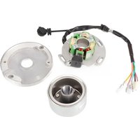 AliExpress NONE Motorcycle AC Ignition Magneto Stator Rotor Kit for 150 Lifan 150cc LF150 Horizontal Engine Dirt Bike Monkey Parts