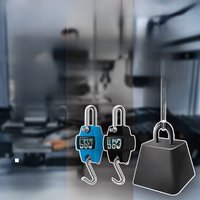 AliExpress NONE Industrial Digital Hook Scale 200/300KG Portable Crane Weighing Tool w/LCD Display Heavy Duty for Farm, Bike, Bow Fishing