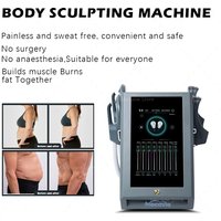 2026 NEW EMS Sculpt Machine 6500w EMS RF Fat Slimming Burning Muscle Stimulation Body Sculpting 15 Electromagnetic Therapy