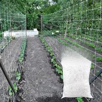 Garden Climbing Net Trellis Netting Heavy-Duty Plant Support Stand for Flowers Vegetable Vine Orchard Gardening Tools