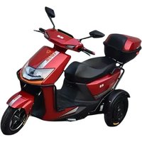 AliExpress CNZKO Tricycle Wheeler Electric Chinese Hot Selling 1500W Customized 60V 10 Inch 2 Seat Electric Tricycles Electric Cargo Bike