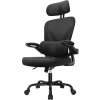 naspaluro Ergonomic Office Chair with Dual Backrest Design, Grey Premium Desk Chair with Flip-Up Armrests, Adjustable Lumbar Support and 3D Adjustable Headrest for Home Office