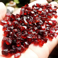 AliExpress NONE 100g Natural Red Garnet Tumbled Quartz Crystal Gravel Healing Energy Rough Mineral Specimen Collectables Garden Home Decor