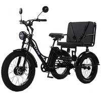 AliExpress Powerful 3 Wheel Fat Tire Passenger Electric Tricycle Adult Two Person 750W Mountain Snow family Electric Bicycle Trike Bike Man
