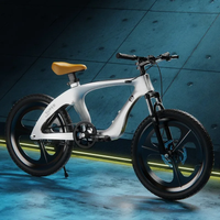 AliExpress TLXT New Magnesium Alloy Mountain Bike Children's Bike 8-14 Years Old 20 Inch Students Double Disc Brake Single Speed Mountain Bike