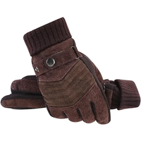 AliExpress NONE Gloves Men's Winter Cycling Motorcycle Windproof Cold Insulation Warm Leather Touch Screen Anti-Slip Thick Pile