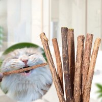 10Pcs Catnip Sticks Pet Cat Molar Toys Natural Wood Polygonum Kitten Teeth Cleaning Chew Toy Cat Snacks Sticks Pet Supplies