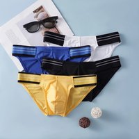 Brand Designer Fashion Men's Underwear Male Ice Silk Mesh Underpants Low Waist Breathable Comfortable Sexy Youth Pants Briefs