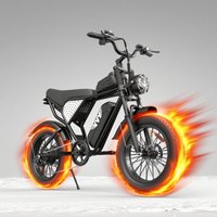YVY C20 Electric Bike 1000W 48V15.6AH Waterproof Powerful Dual motor 20*4.0 Fat Tire For Adult Mountain Electric Bicycle E-bike