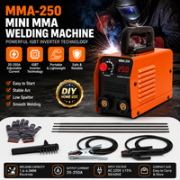 Mini spawarka łukowa 20-250A, zestaw spawalniczy IGBT Inverter MMA-250, przenośna spawarka elektryczna do użytku domowego