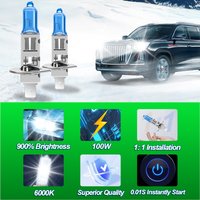 roadsun 2Pcs H4 H7 H1 Halogen 100W for Car H11 9005 9006 H3 12V HOD Xenon Halogen Front Headlight Bulb Auto Fog Lamp 6000K