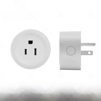 TASMOTA Smart Home Pre Flashed WiFi US Plug Works With Home Assitant 16A AC 100-240V USA,Mexico, Japan