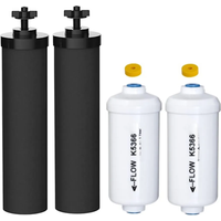 Replacement 2 Black BB9-2 and 2 Fluoride Water Filter PF-2 Compatible with Gravity Water Filtering System Purification Element