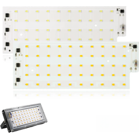 2pcs/lot 50W LED Chip Flood Light AC 220V 240V SMD 2835 Floodlight Spotlight Beads LED Street Lamp Landscape For DIY Lighting