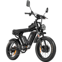 AliExpress NONE Ridstar Q20 Adult E-bike 2000W Off Road Electric Bike 52V40AH Battery 20 Inch Fat Tire E-Mountain bike