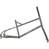 AliExpress SILVEROCK DEWY Chrome Bicycle Frame 20