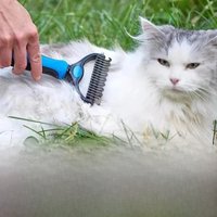 Pet Cat Hair Removal Comb Brush Pet Fur Trimming Dematting Combs Pet Cat Hair Removal Comb Brush Puppy Hair Shedding Trimmer