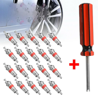 AliExpress NIGHTKIST 20 Pcs Tyre Valve Core Insert With Remover Tool Car Bike Motorcycle Wheel Automotive Repair Parts Installation Tool Set