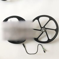 AliExpress NONE High Torque Geared Motor Wheel for Electric Bike, Scooter Engine Wheelchair, 24V, 36V, 48V, 350W, 16 in