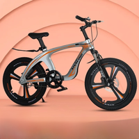 AliExpress WOLFACE Magnesium Alloy Mountain Bike Primary School Students 7-14 Years Old Shock-absorbing Bicycle Boys And Girls 18 Inches