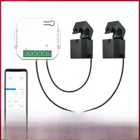 Tuya WIFI Smart Energy Meter Solar PV System Power Production Consumption Bidirectional Monitor 12-channel Power Meter with CT
