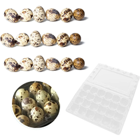 12 Pcs 24 Grids Plastic Egg Box Quail Egg Storage Carrier Packaging Box