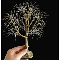 10-28cm Model wire Tree Trunk Model Material Handmade Tree For Making Simulation Tree Powder Miniature Tree Model Train Layout