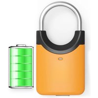 AliExpress EGFirtor Fingerprint Padlock Mini Smart Electronic Security Locker Fingerprint Lock Anti-Theft USB Charge For Bike Gym Locker Luggage