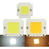 LED COB Chip 10W 20W 30W 50W 70W 100W DC30V 36V Backlight Diode Cold Warm White Street Lamp Matrix For DIY Flood Light Bulbs