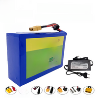 10S2P 36V 9800mAh large capacity 18650 lithium battery pack+epoxy board, customizable with multiple plugs