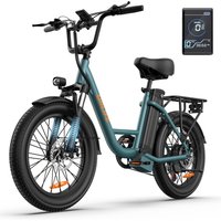 Urlife 20 Inch Electric Bike 48V 13AH Removable Battery 7-Speed E-Bike With Dual Disc Brake Standard Commuting Ebike image 4