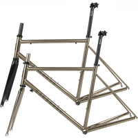 AliExpress SEABOARD-Ultralight Road Bicycle Frame, Carbon and Steel Fork, Heat Treated, Chrome Molybdenum Steel, TSUNAMI CR01 4130