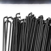 AliExpress Light Pillar PSR TB2015 Triple Butted Bicycle Spokes J-Bend Straight Pull 14G Gauge 2.0 MTB Road Bike Ray Stainless Steel Black