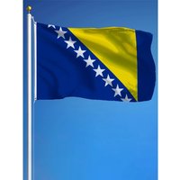 60x90cm 90x150cm Bosnia and Herzegovina Flag Banner Tapestry