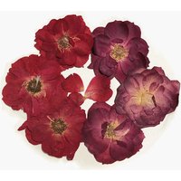 12PCS/4~7CM Head,Real Natural Pressed Dried Roses Flower Heads,Dry Press Flowers DIY For Epoxy Resin Jewelry Making Accessories