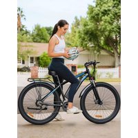 AliExpress DUOTTS C29 Adult Electric Bicycle 750W Motor 48V30AH Dual Lithium Battery 45KM/H City Ebike 29inch Tire Aldult Mountain EBike