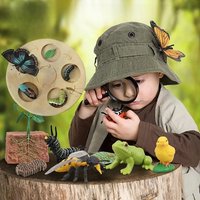 AliExpress NONE Children Simulation Biology Model Toy Animal Plant Life Growth Cycle Montessori Children Toys Set Teaching Aids Educational Toys
