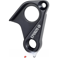 AliExpress iCycling Derailleur Hanger for Canyon Aeroad CFR SL Disc R082-01 Grizl CF SLX WMN R095-01 Road Dorpout GP0252-01 EP0920-01