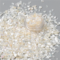AliExpress Rainagem 3-5mm Natural White Gravel Aurora Shell Irregular Small Shell Chips Fit Nail Accessori Decor Diy Jewellery Ornaments Crafts