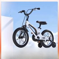 AliExpress NONE Selfree Children's Bicycle Boys Girls Middle And Big Children 3 6 12 Years Old Princess With Auxiliary Wheel Lightweight News