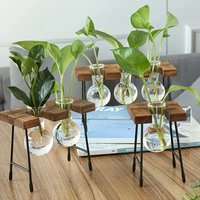 Creative Wooden Frame Hydroponic Plant Container Glass Light Bulb Vase Home Desktop Decoration Vase Beaker Glass Flowerpot