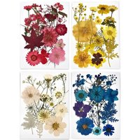 15pcs Dried Flower Set Resin Jewelry Aromatherapy Mold Filled Mobile Phone Case Production Nail Decor Natural Flowers And Leaves