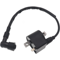 AliExpress Nowhat 1Pcs Ignition Coil for LT50 LTA50 50cc 2-Stroke Jincheng AX100 A100 AK100 FR80 100cc Mini ATV Quad 4 Wheel Motorcycle Bike
