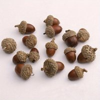 2PCS Pinecone Acorn Pendant Sweater Chain Creative Nut Necklace Earrings DIY Bead Accessory Bag