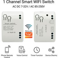 Retrofit Automation Module Smart Wifi Switch 1 Way Timer Relay Remote Gate Opener for Old Motor Light Fan Works With Tuya Alexa