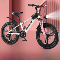 AliExpress LISM selfree mountain bike shifter bike child dual disc brakes kids bike 20 inch mountain bike student bike bike bicycle camping news
