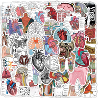 10/30/50Pcs Cartoon Human Organ Medical Anatomy Stickers Decals Toys Decorative Water Bottle Laptop Phone PVC Waterproof Sticker